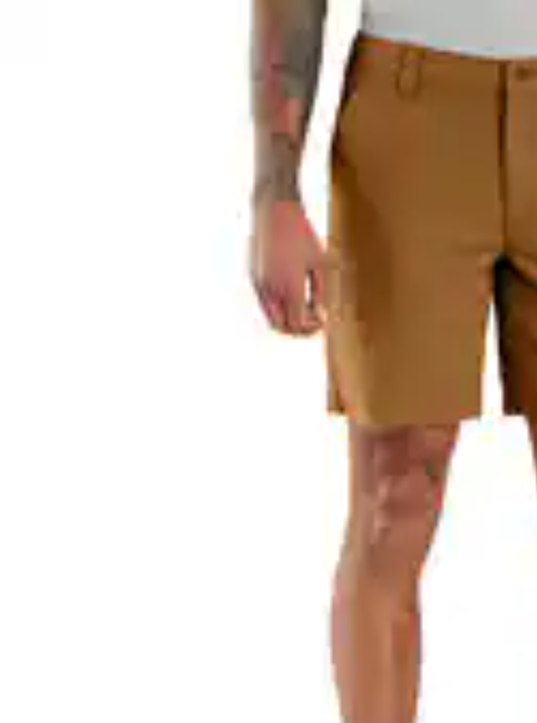 Relaxed 8" Rigby Canvas Work Shorts - Image 3